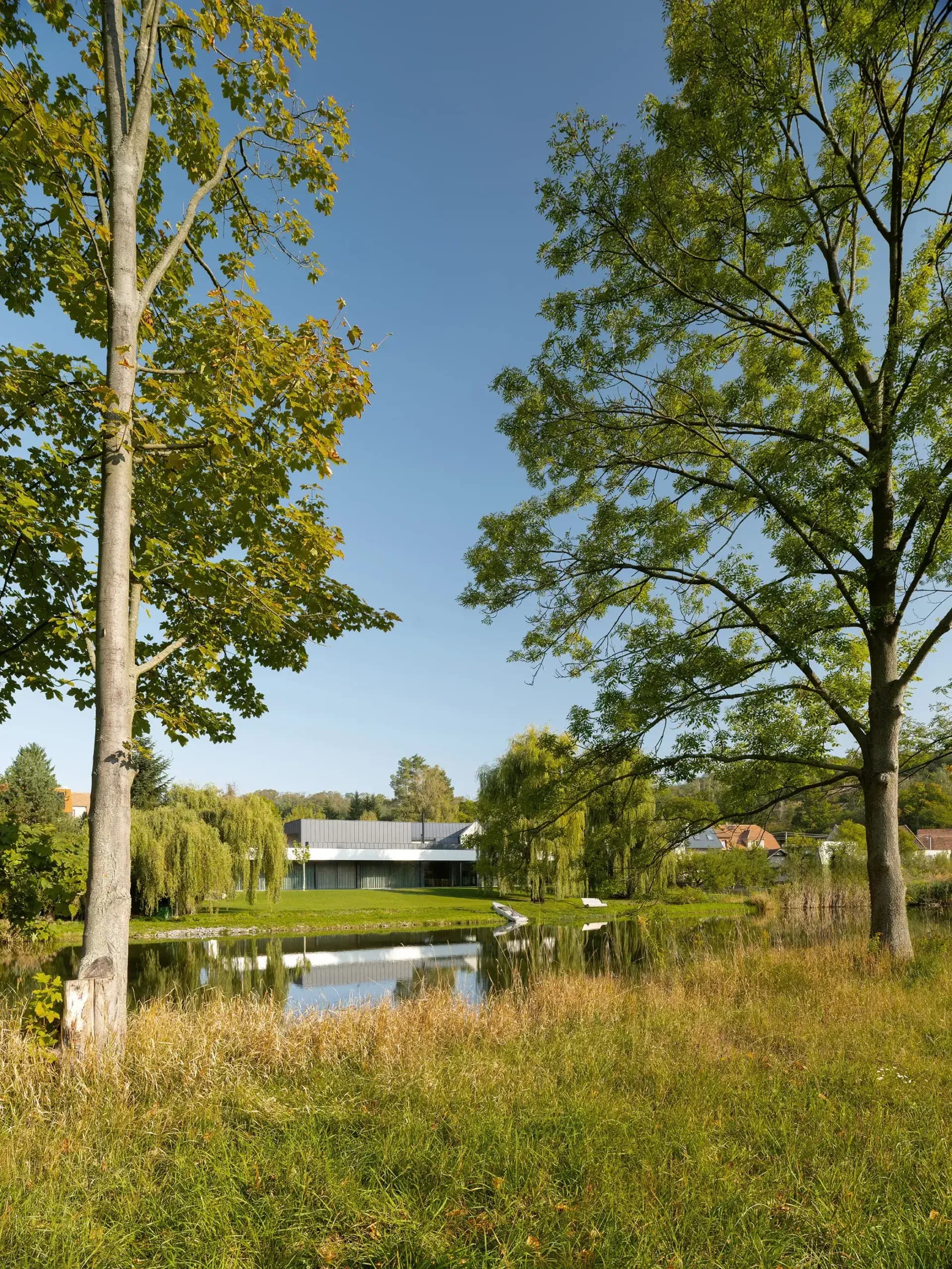 Dům pod vrbou | boq architekti