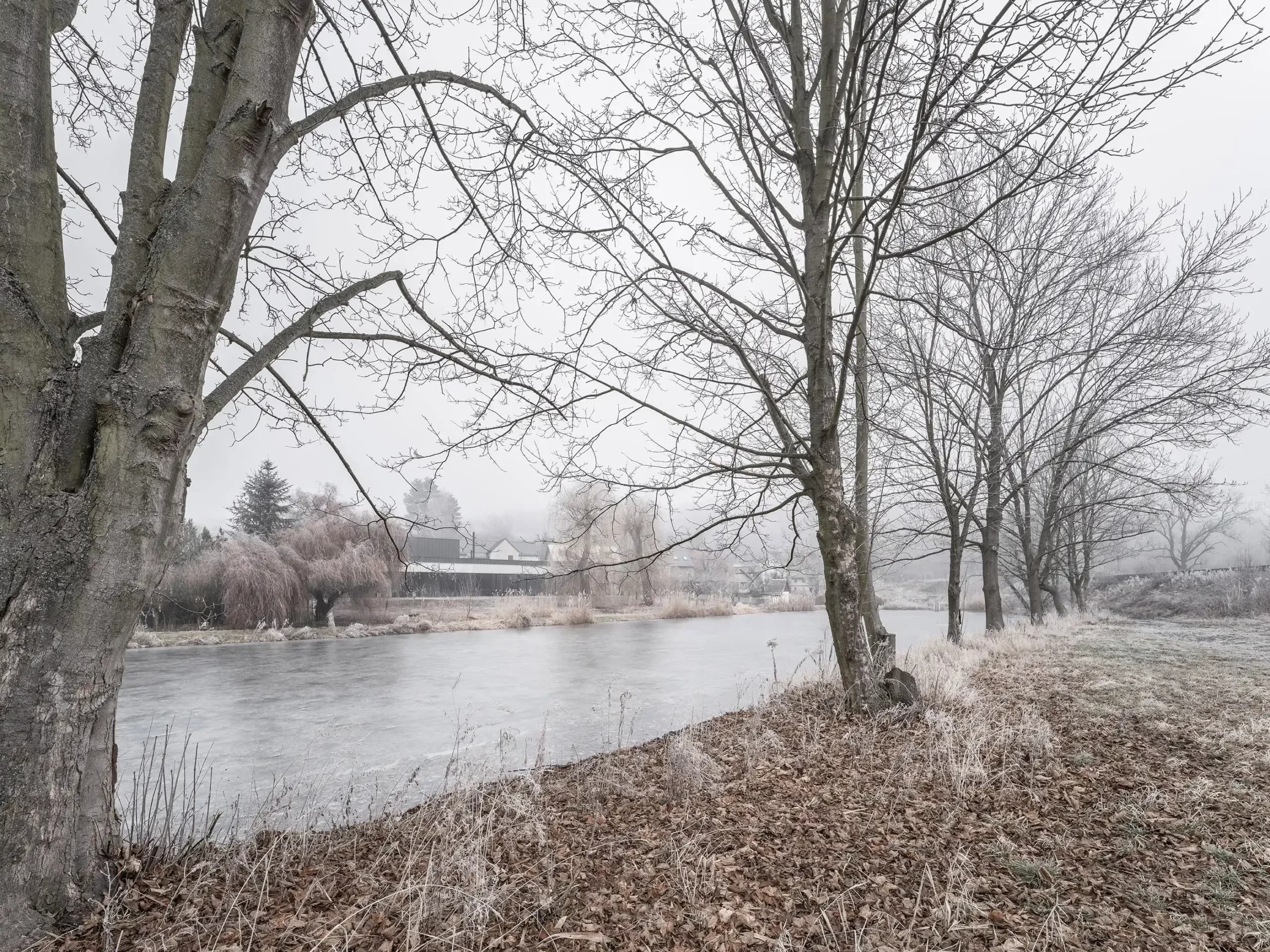 Dům pod vrbou | boq architekti