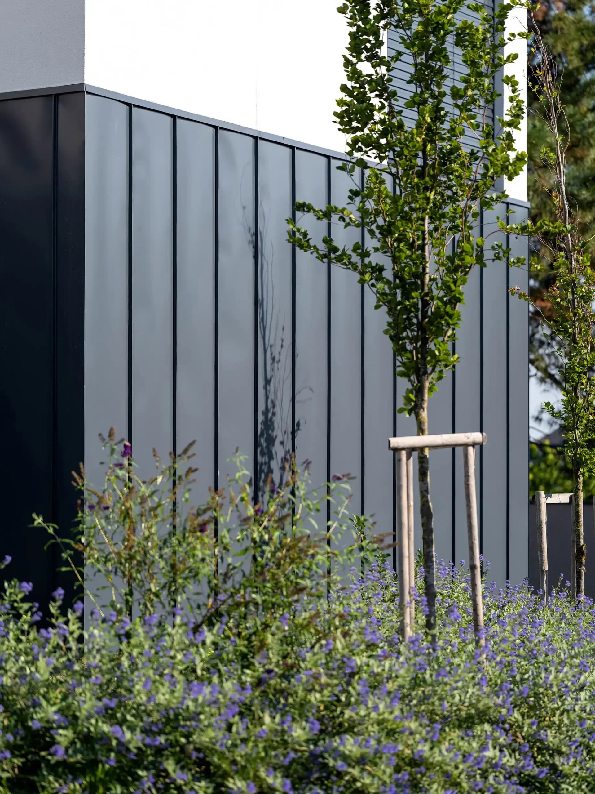 Bytový dům Na Třebešíně | boq architekti